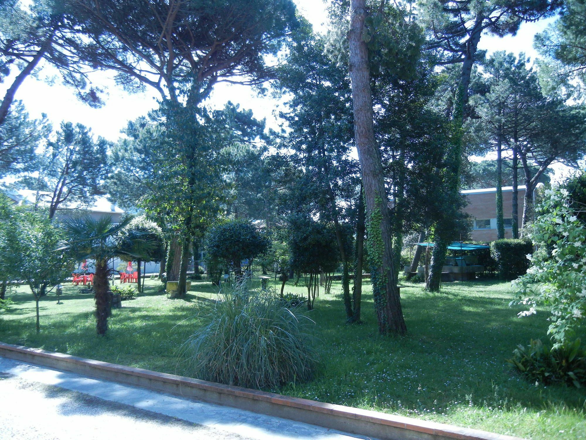 Stella Maris Hotel Cervia Exterior photo